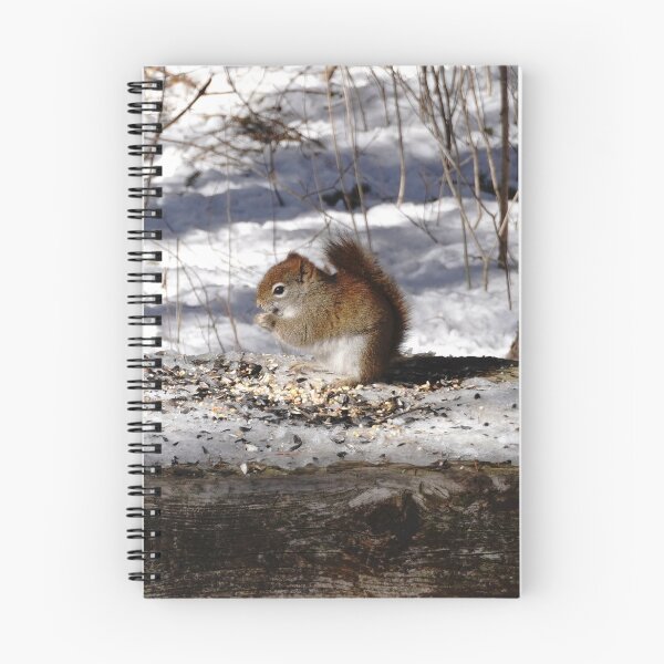 Item preview, Tiny red squirrel eating seeds on a snowy woodland trail  designed and sold by cuisinecat2.