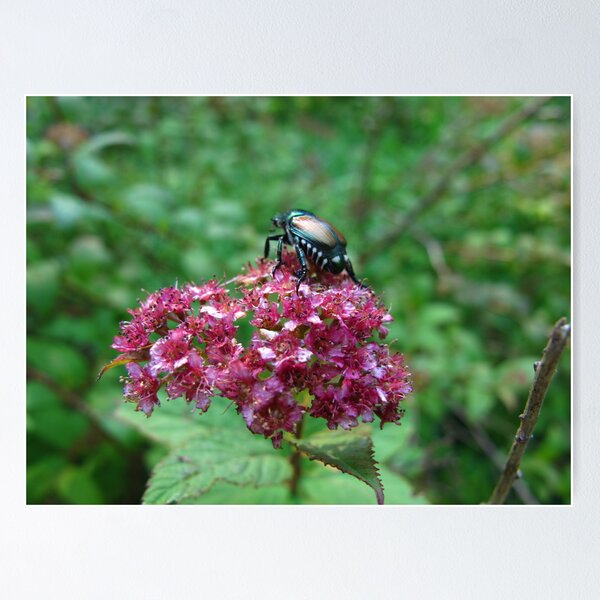 Item preview, A view from here designed and sold by MarianBendeth.