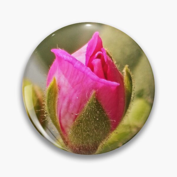 Item preview, NS Malva Blooms II© designed and sold by OmarHernandez.