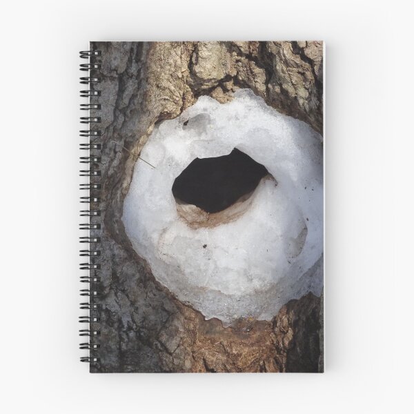Item preview, Home sweet icy hole in a tree designed and sold by cuisinecat2.