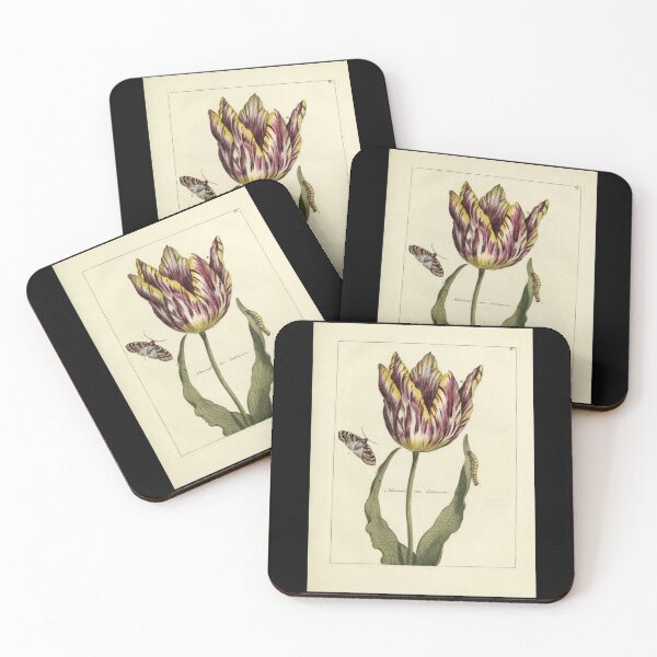 Item preview,  Vintage Tulip Print from Nederlandsch bloemwerk (1794) designed and sold by Douglas E. Welch Design and Photography.