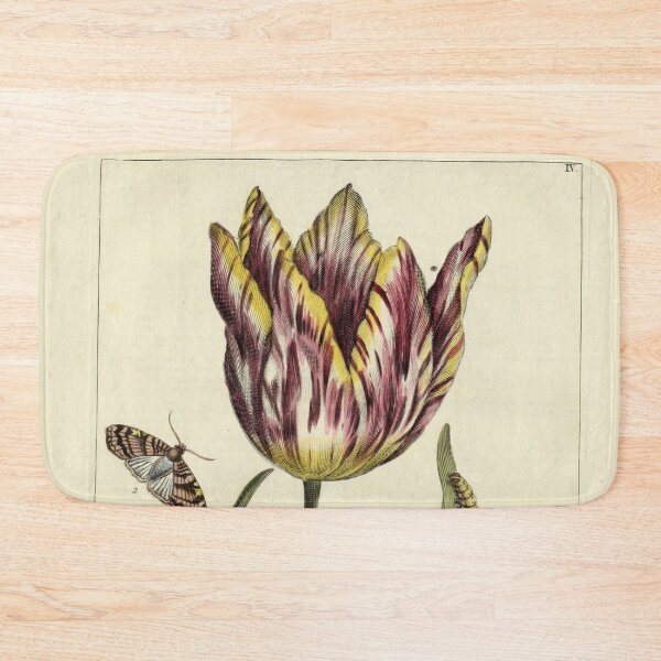 Item preview,  Vintage Tulip Print from Nederlandsch bloemwerk (1794) designed and sold by Douglas E. Welch Design and Photography.