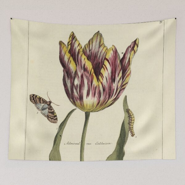 Item preview,  Vintage Tulip Print from Nederlandsch bloemwerk (1794) designed and sold by Douglas E. Welch Design and Photography.