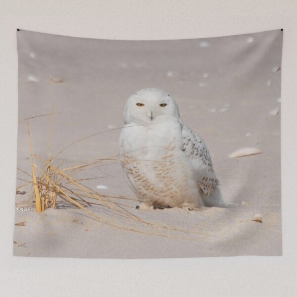 Item preview, Snowy designed and sold by DonnaM.