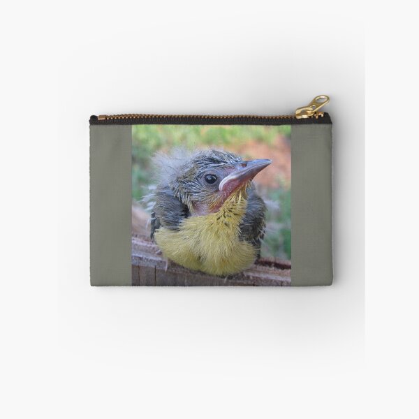 Artikelvorschau, Baby Oriole entworfen und verkauft von Ginny York.