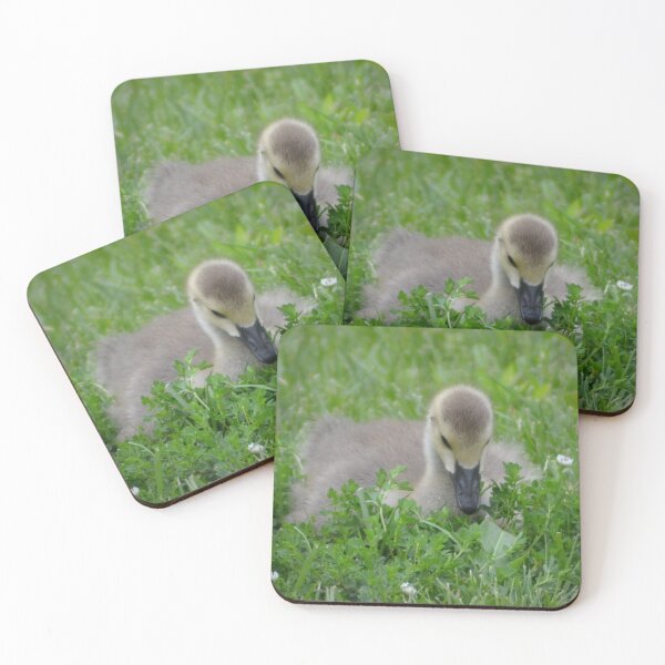Item preview, Gosling in the Grass designed and sold by ReneeKennedy.