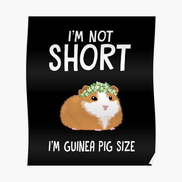 I'm not short I'm Guinea pig size Poster