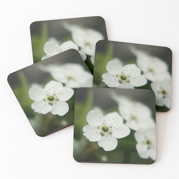 Item preview, Little White Flowers designed and sold by Kendra Kantor.