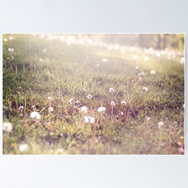 Item preview, Dandelion Field designed and sold by Kendra Kantor.