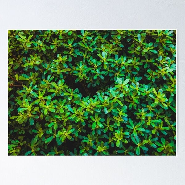 Item preview, green leaves plant texture background designed and sold by Mrvell.
