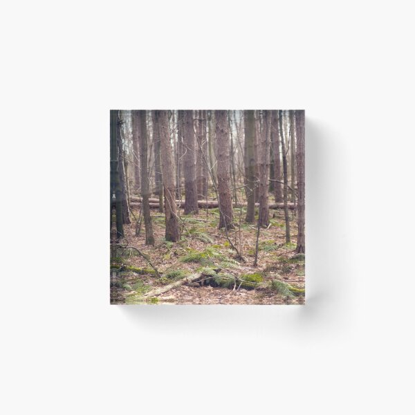 Item preview, Forest Floor designed and sold by Kendra Kantor.