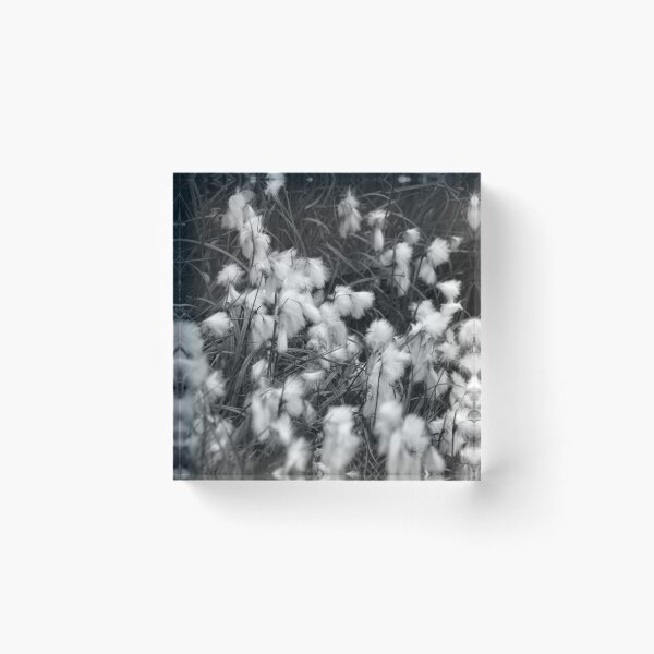 Item preview, Blooming White Cottongrass Alpine Flowers designed and sold by Anna Lemos.