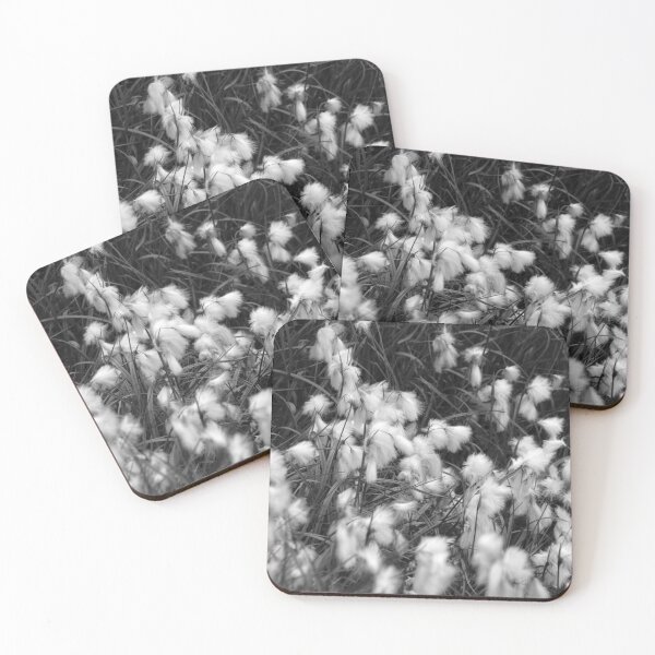 Item preview, Blooming White Cottongrass Alpine Flowers designed and sold by Anna Lemos.
