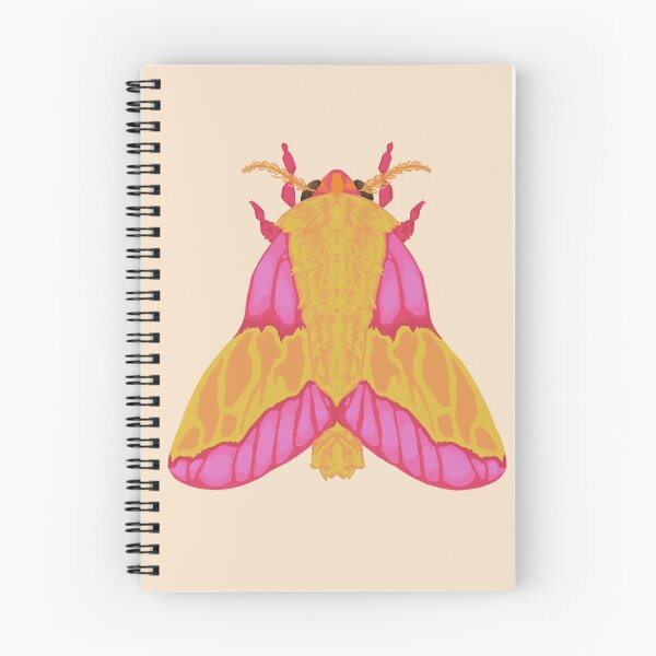 Item preview, rosy maple moth designed and sold by dkoats_.