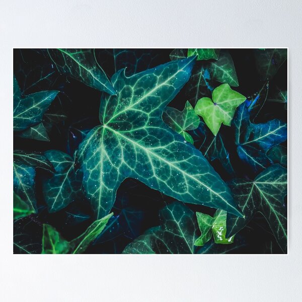 Item preview, closeup green ivy leaves background designed and sold by Mrvell.