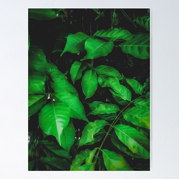 Item preview, green leaves texture background designed and sold by Mrvell.