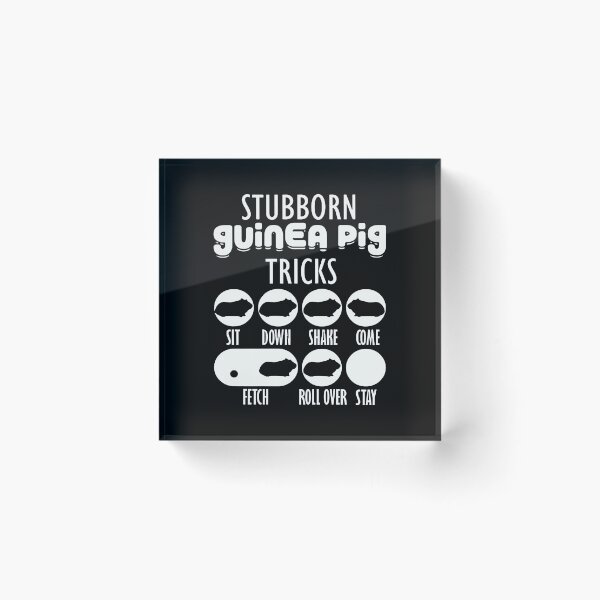 Item preview, Stubborn Guinea Pig tricks designed and sold by ZEDSOU ⭐⭐⭐⭐⭐.