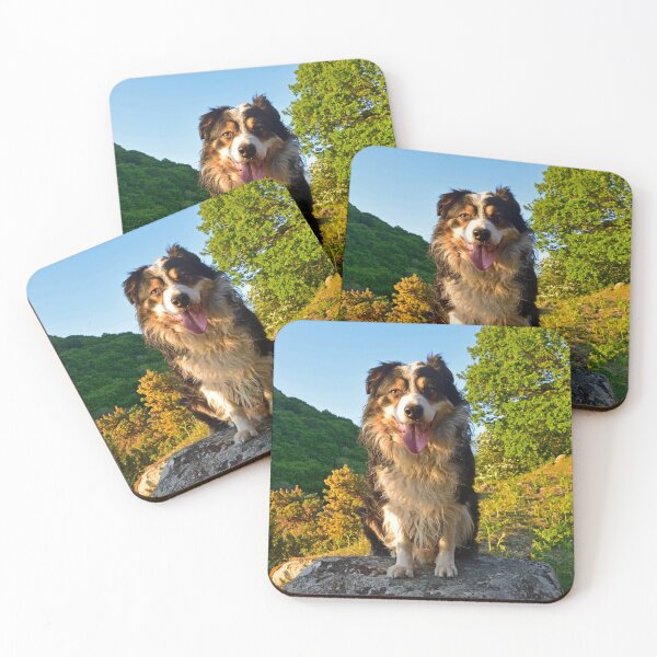 Item preview, Paws for thought. designed and sold by Michael Haslam.