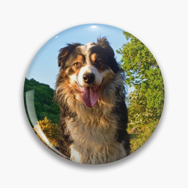 Item preview, Paws for thought. designed and sold by Michael Haslam.