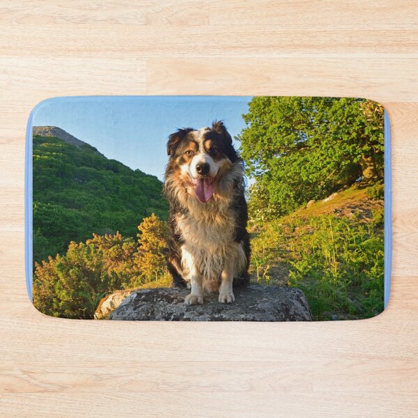Item preview, Paws for thought. designed and sold by Michael Haslam.