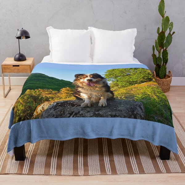 Item preview, Paws for thought. designed and sold by Michael Haslam.