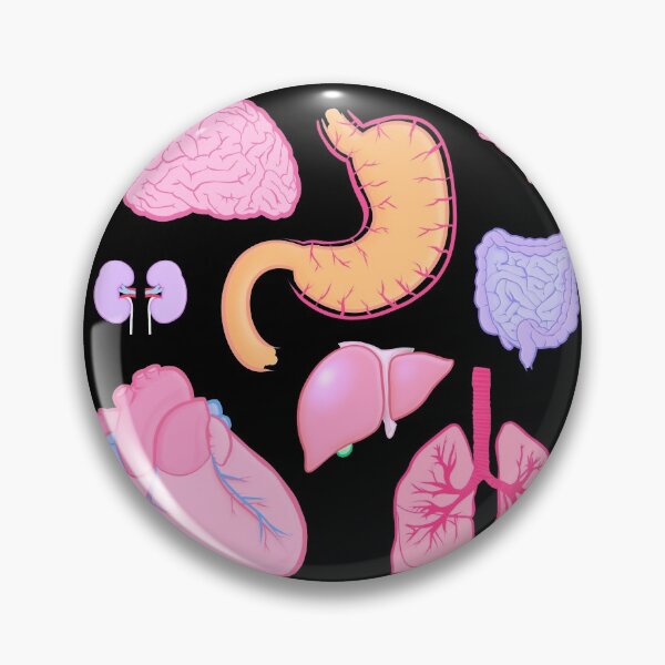 Item preview, anatomy, organs sticker pack and pattern designed and sold by acatalepsys.