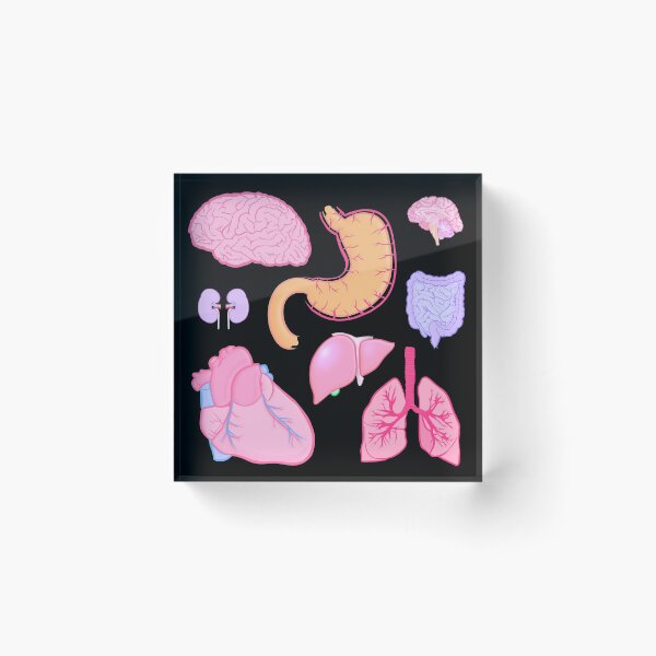 Item preview, anatomy, organs sticker pack and pattern designed and sold by acatalepsys.