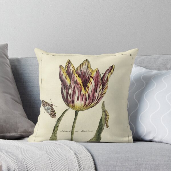 Item preview,  Vintage Tulip Print from Nederlandsch bloemwerk (1794) designed and sold by Douglas E. Welch Design and Photography.
