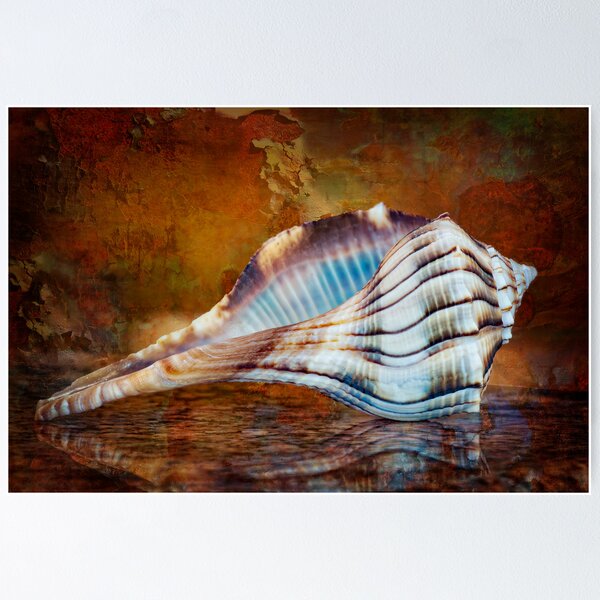 Item preview, Lightning Whelk Seashell designed and sold by Bonnie T.  Barry.