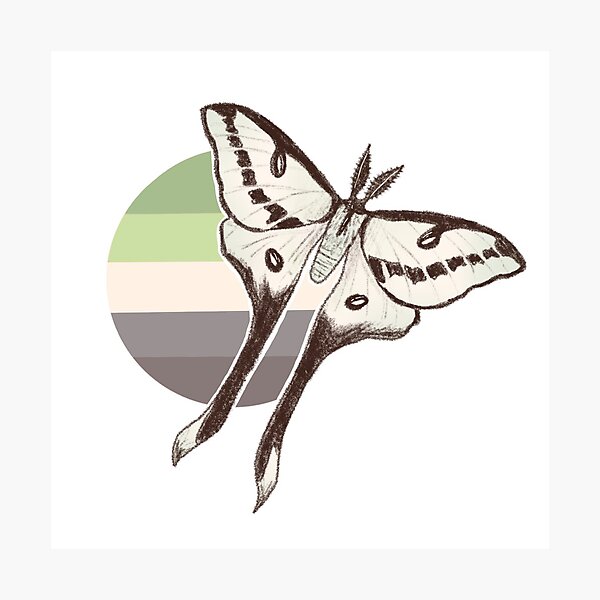 Aperçu de l'œuvre Papillon aromantique créée et vendue par C ..