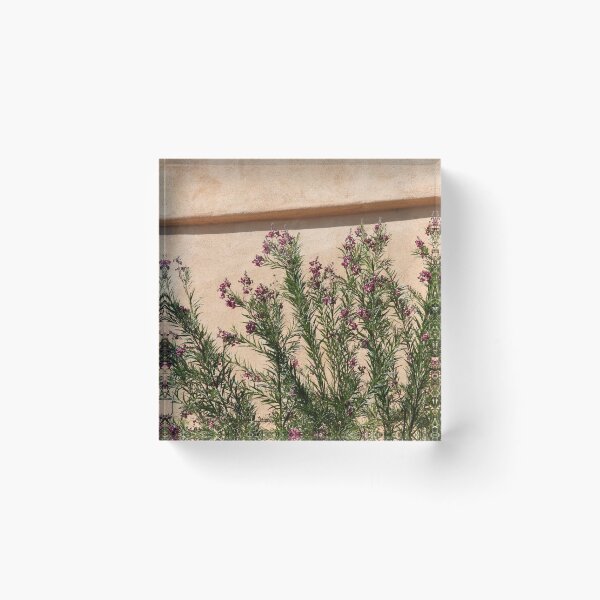 Item preview, Botanic Adobe Wall designed and sold by coffeebean.