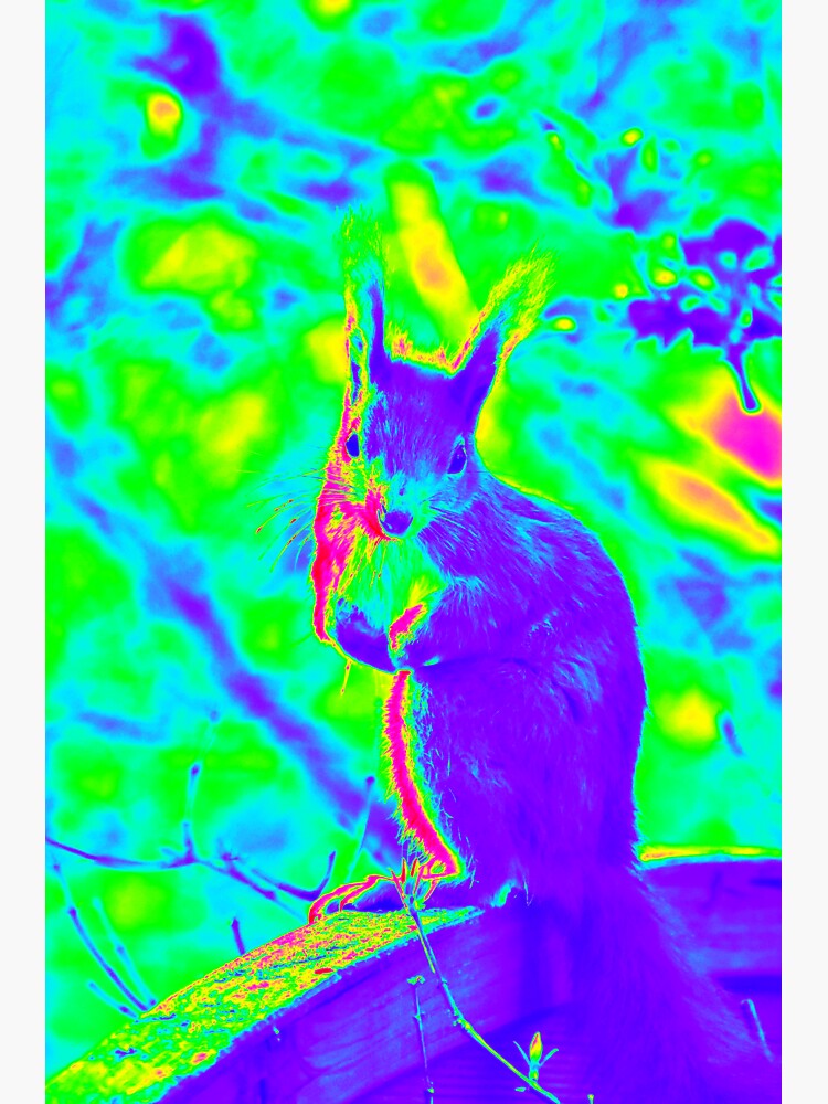 "Thermal Squirrel" Sticker by BrodyMaddox | Redbubble
