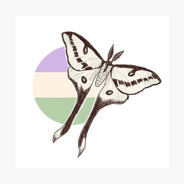 Artikelvorschau, Genderqueer Motte entworfen und verkauft von C ..