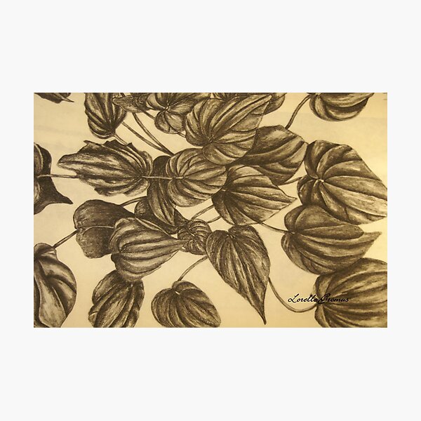 Item preview, Plant Study IV designed and sold by Lorelle Gromus.
