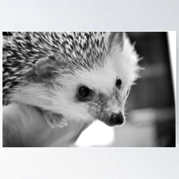 Item preview, Hedgehog Love designed and sold by miriielizabeth.