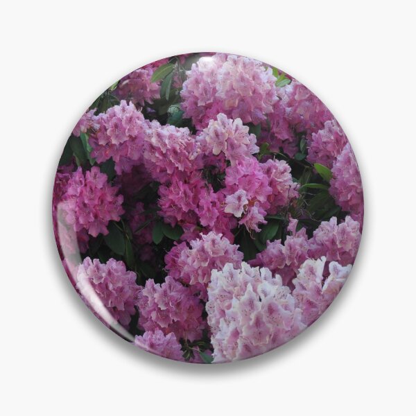Item preview, Beautiful pink rhododendrons designed and sold by perlphoto.