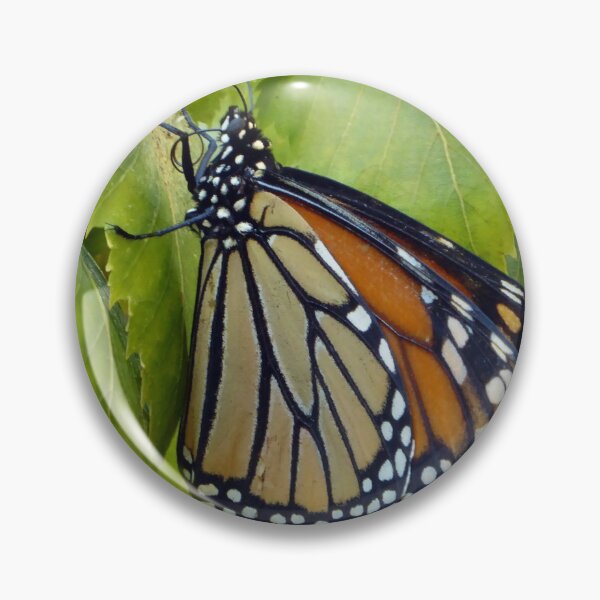 Item preview, Monarch Butterfly designed and sold by Todays a Good Day.