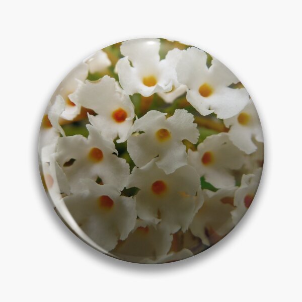 Item preview, White Buddleja designed and sold by Todays a Good Day.