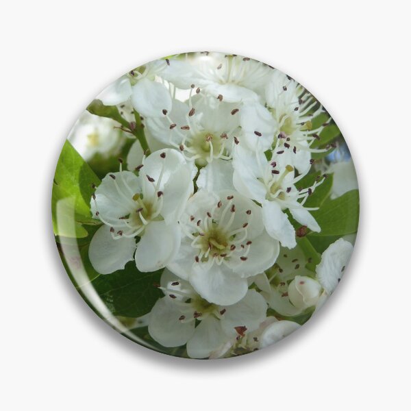 Item preview, Hawthorn blossoms designed and sold by Todays a Good Day.