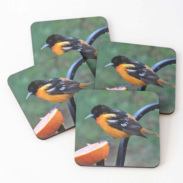 Artikelvorschau, Baltimore Oriole entworfen und verkauft von maxinemwhite.