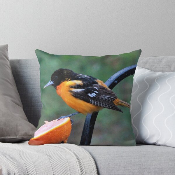 Artikelvorschau, Baltimore Oriole entworfen und verkauft von maxinemwhite.