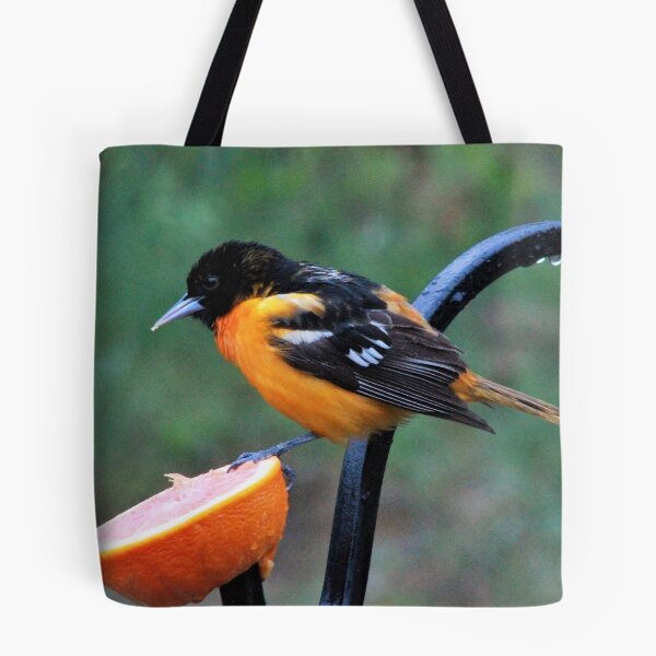 Artikelvorschau, Baltimore Oriole entworfen und verkauft von maxinemwhite.