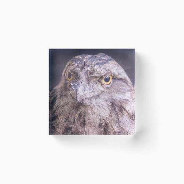 Item preview, Wise Owl designed and sold by AnneMcNaughton.