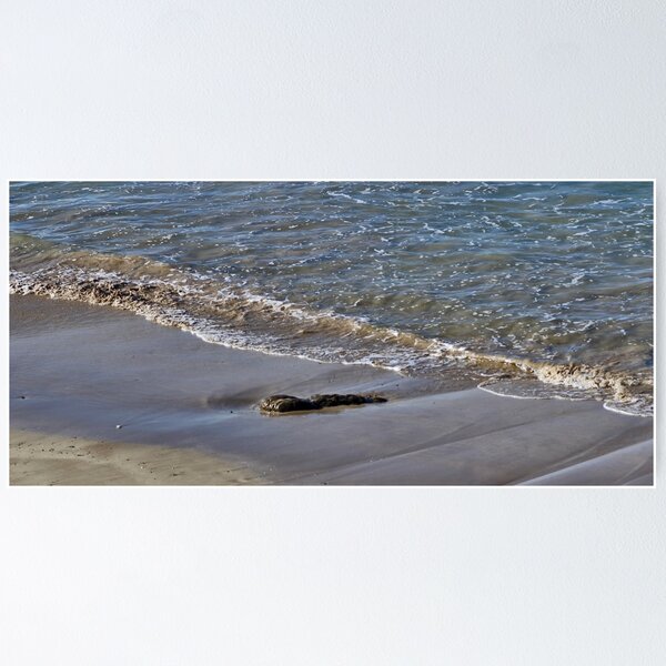 Item preview, Old Bar Beach designed and sold by Jodie Cooper.