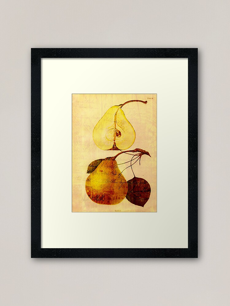 Alternate view of Copper Pear Framed Art Print