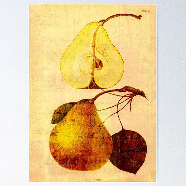 Item preview, Copper Pear designed and sold by Sarah Vernon.