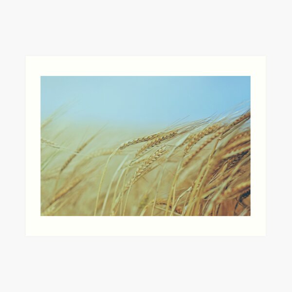 Untitled Art Print
