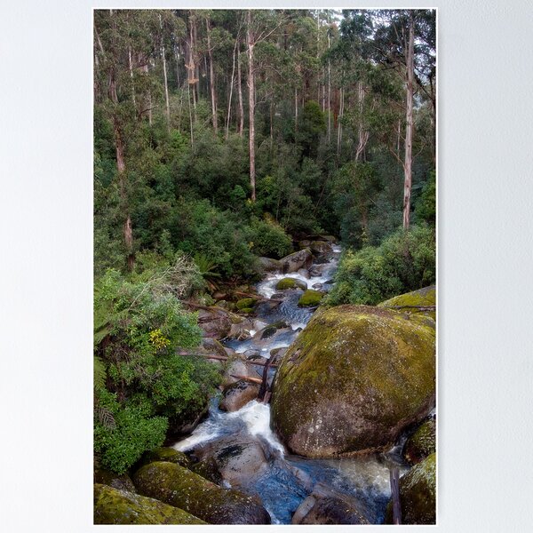 Item preview, West Tyers Creek designed and sold by Ozjanette90.