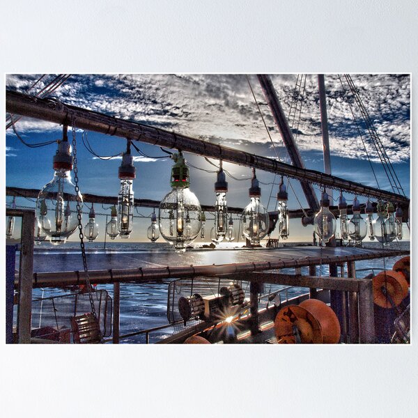Item preview, Squid Lights designed and sold by John Sharp.