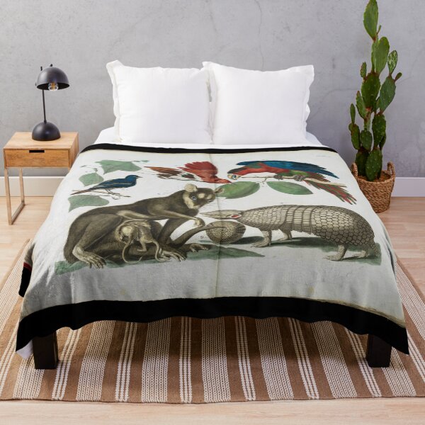 Item preview, Molucca Opossum, Didelphis molucca and Armadillo, Tolypeutes matacus By Albertus Seba designed and sold by Amanda1775.